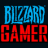 BlizzardGamer