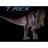 TRex2142